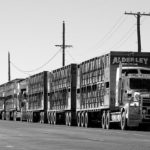 freight truck
